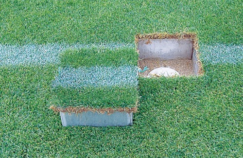 品番のメイン画像