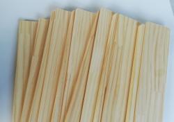 ラケット12本入