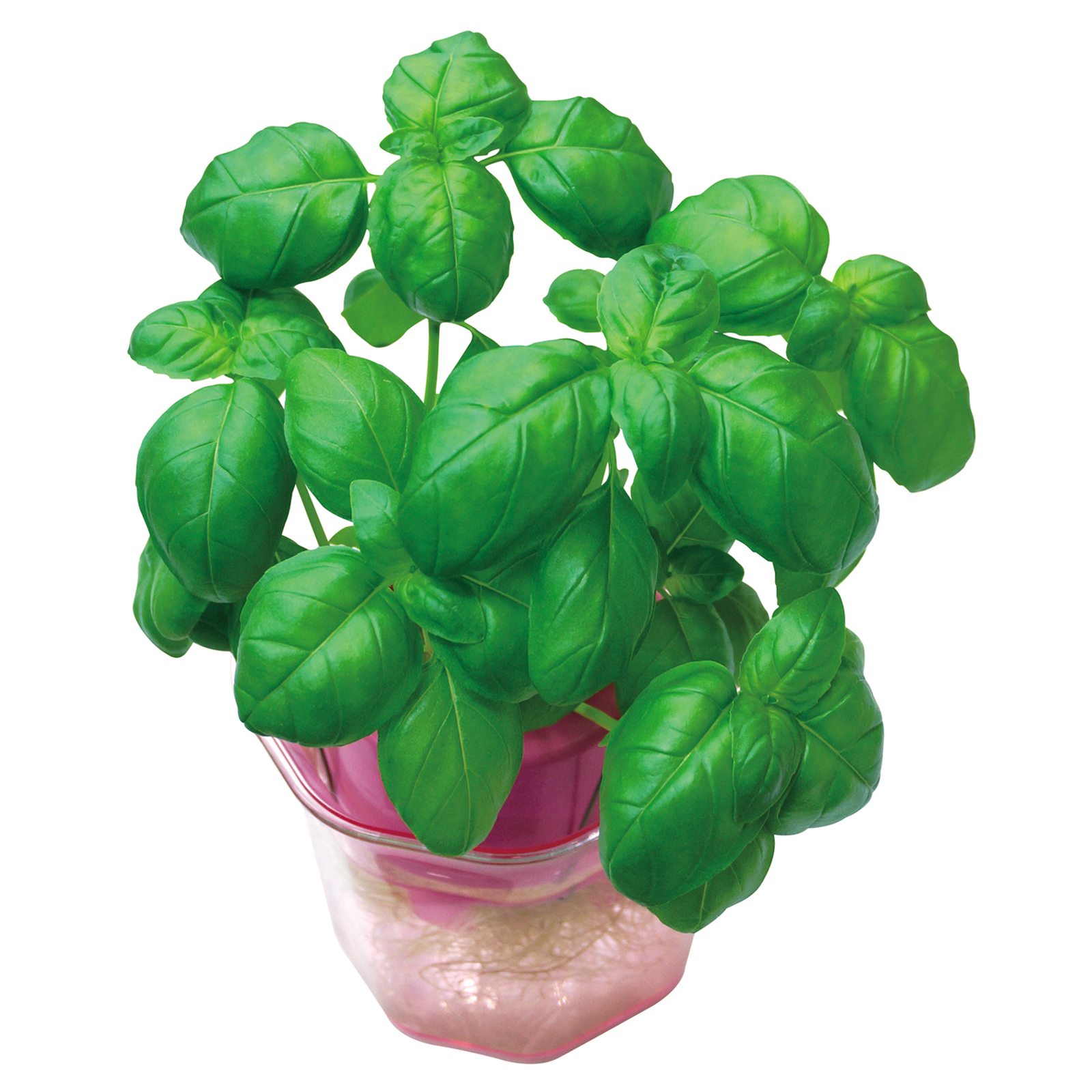 品番のメイン画像