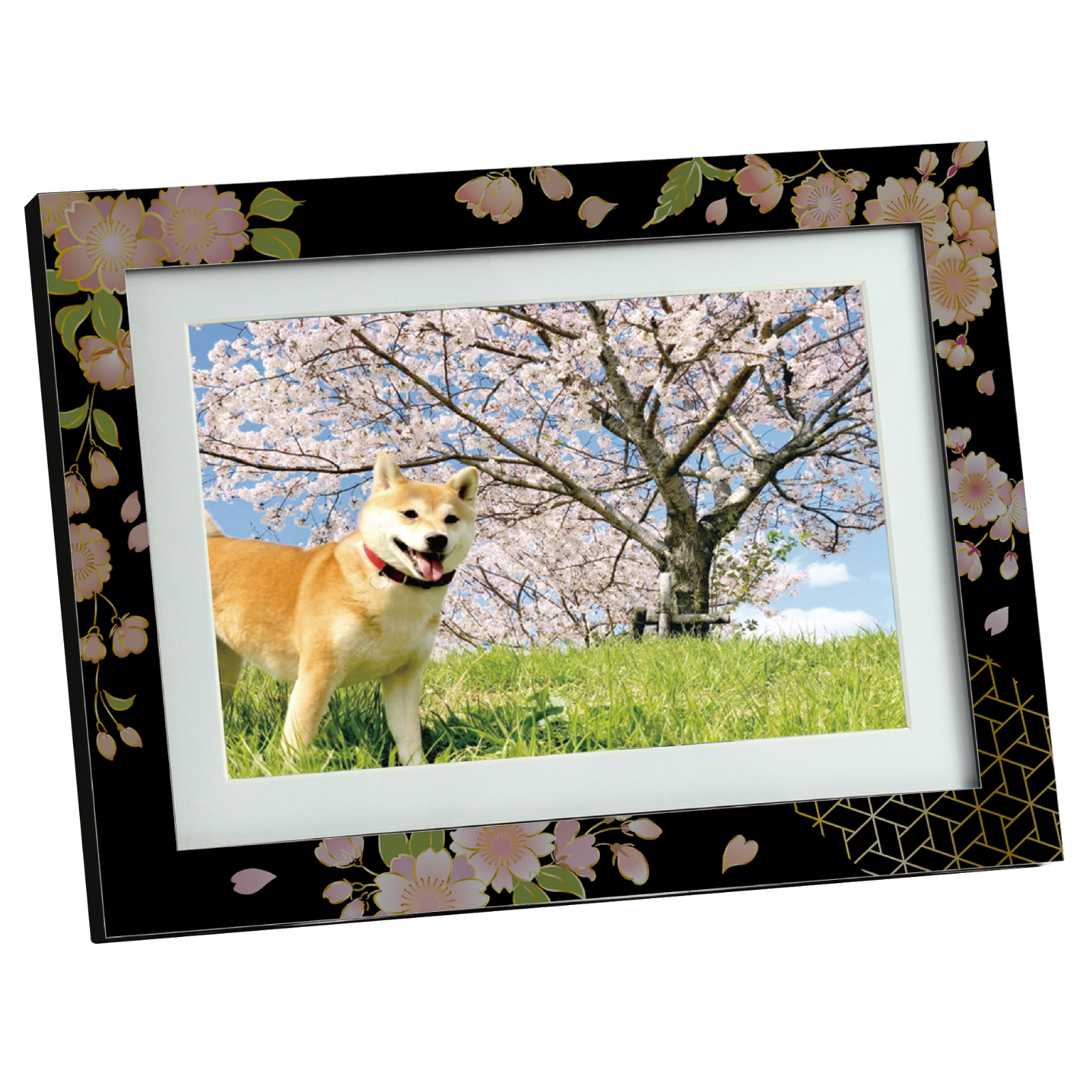 品番のメイン画像