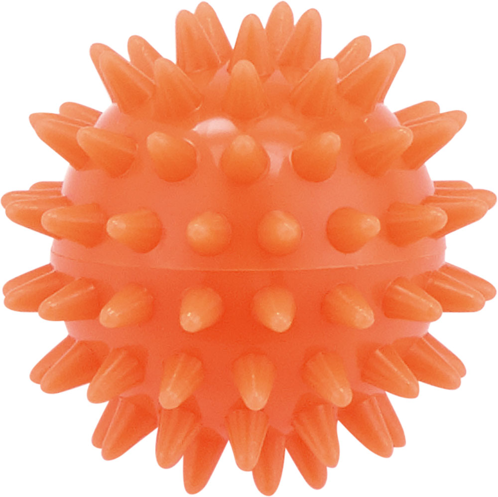 品番のメイン画像