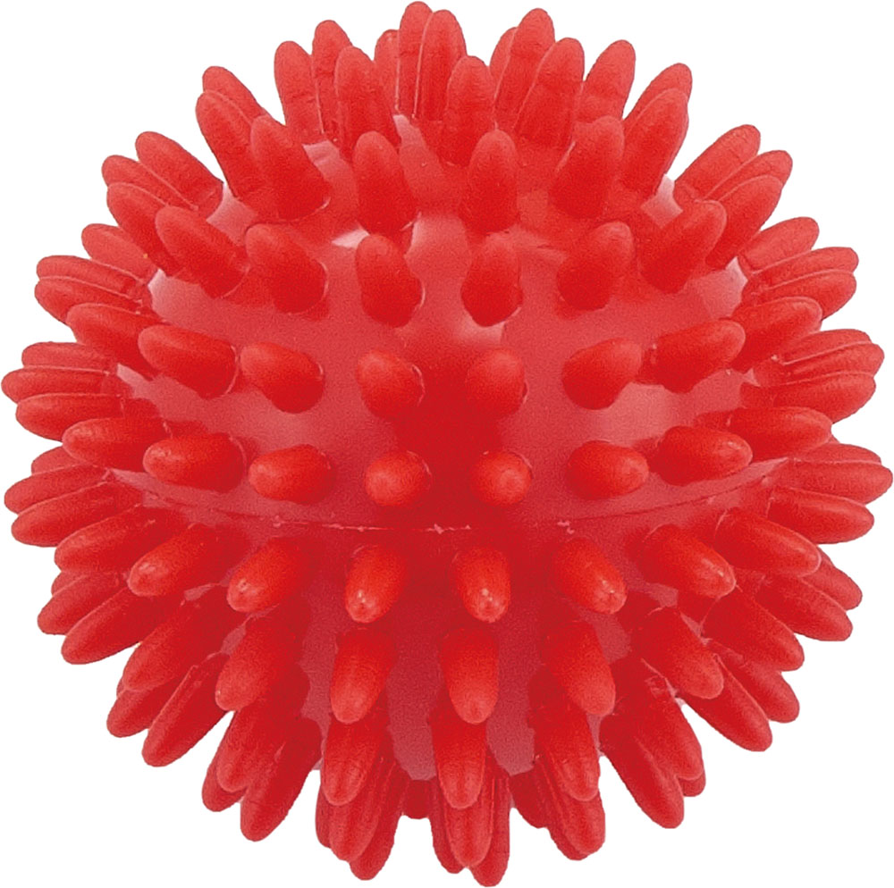 品番のメイン画像