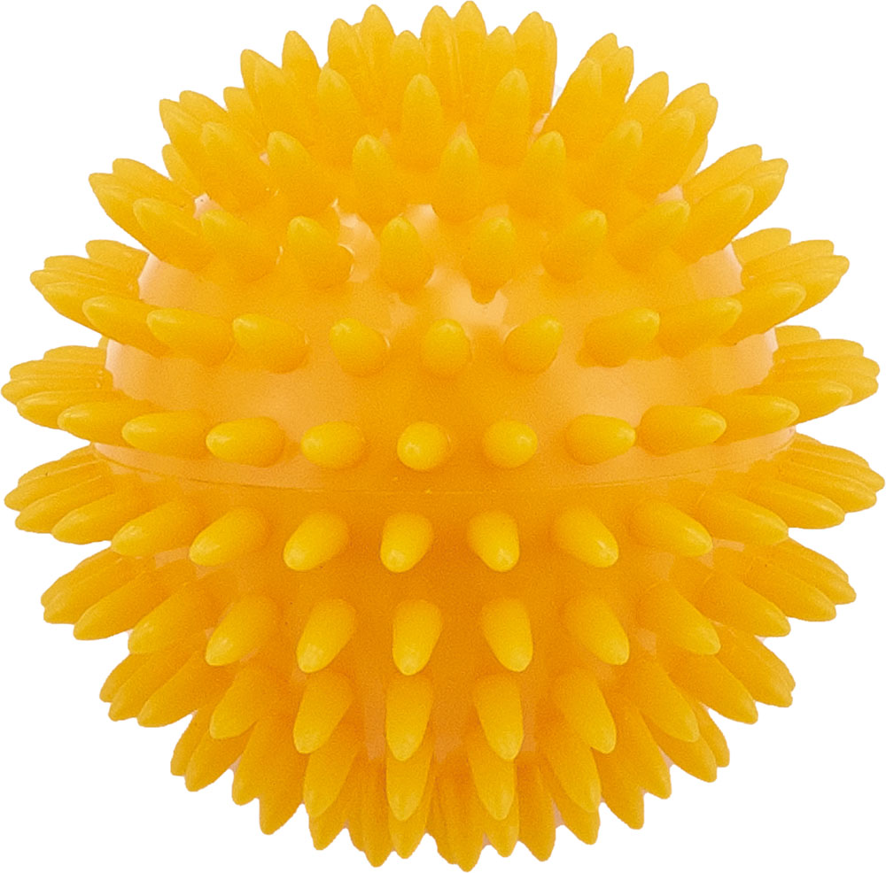 品番のメイン画像