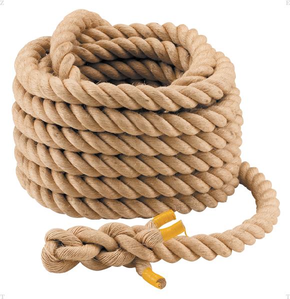 品番のメイン画像